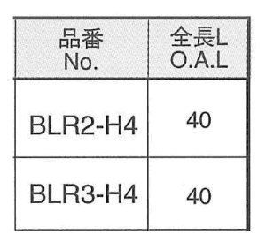 ライン穴用 LR(タンパープルーフ)ビット(H4)ピン付タイプ(電動ドライバー用) 製品規格