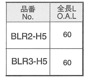 ライン穴用 LR(タンパープルーフ)ビット(H5)ピン付タイプ(電動ドライバー用) 製品規格