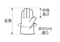 シモン 牛本革手袋 CG-718 (掌部/本革当て付き・袖口/マジック止め式) 製品図面