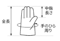 シモン 牛床革手袋 107AK (袖：11cm・17cm)(親指付根/床革当て付き) 製品図面