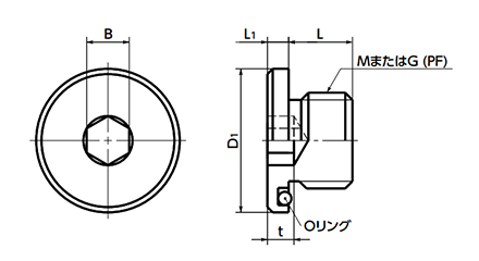 ステンレス フランジ付き六角穴付きスクリュープラグ (Oリング付)(管用平行ねじ/G/PF)(SFMS-G)(NBK製) 製品図面