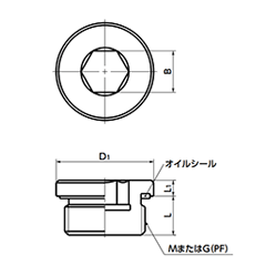 鉄(SUM22L) フランジ付き六角穴付きスクリュープラグ (オイルシール/緑)(細目)(SPN-H)(NBK製) 製品図面