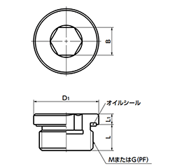 鉄(SUM22L) フランジ付き六角穴付きスクリュープラグ (オイルシール/NBR)(細目)(SPN-L)(NBK製) 製品図面