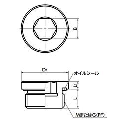 鉄(SUM22L) フランジ付き六角穴付きスクリュープラグ (オイルシール/緑)(管用平行ねじ/G/PF)(SPN-H-G)(NBK製) 製品図面