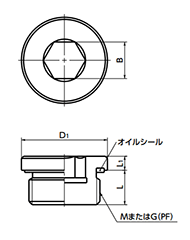 鋼 フランジ付き六角穴付きスクリュープラグ (高油圧仕様 オイルシール/NBR)(管用平行ねじ/G/PF)(SPN)(NBK製) 製品図面